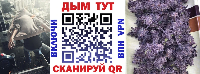 Где можно купить наркотики Порхов Псилоцибиновые грибы  Амфетамин  МЕФ  Каннабис  ГАШИШ 