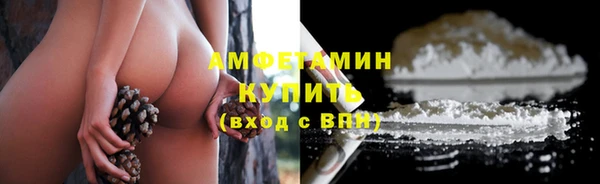 шишки Медногорск