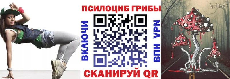 Псилоцибиновые грибы Psilocybine cubensis Порхов